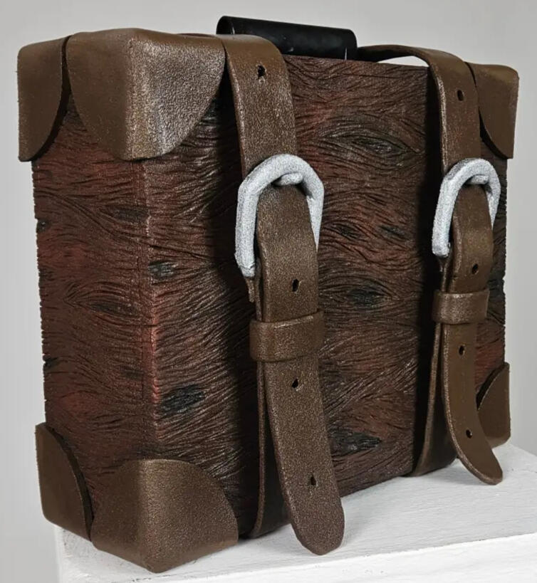 Shrek Panto Case